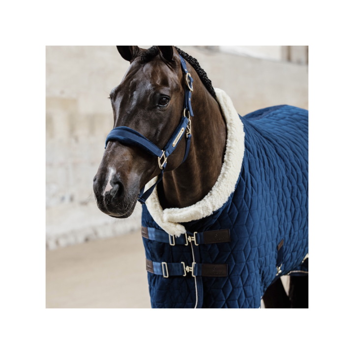 Licol velvet kentucky