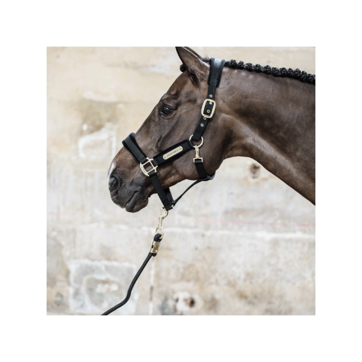 Licol velvet kentucky