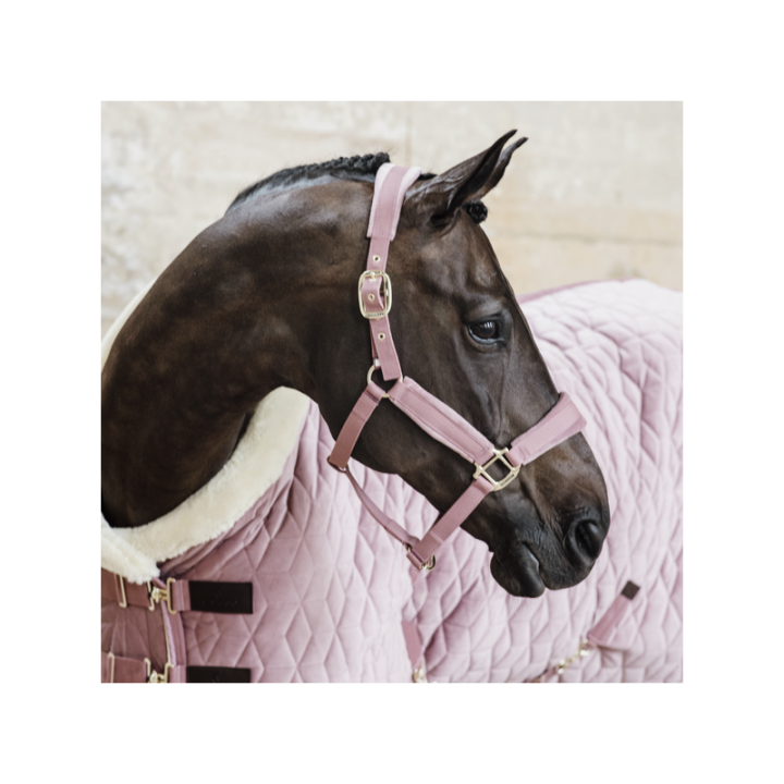 Licol velvet kentucky