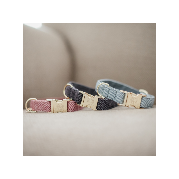 Collier pour chien wool
