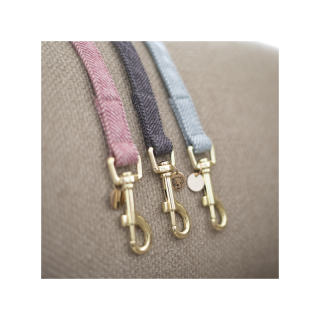 Laisse pour chien wool 120cm