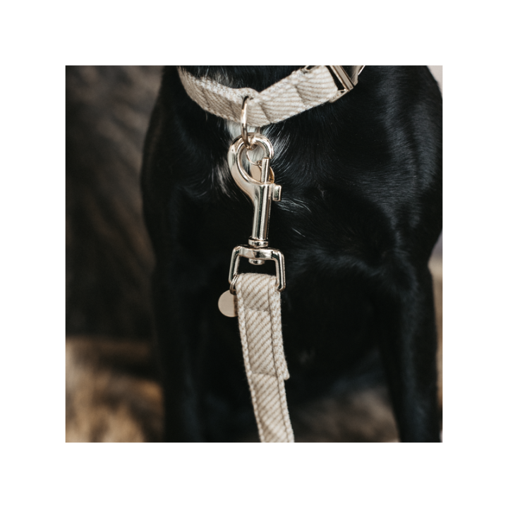 Laisse pour chien wool 120cm