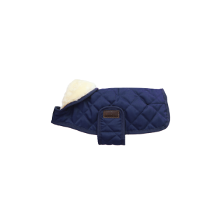 Manteau pour chien original kentucky