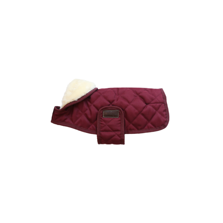 Manteau pour chien original kentucky