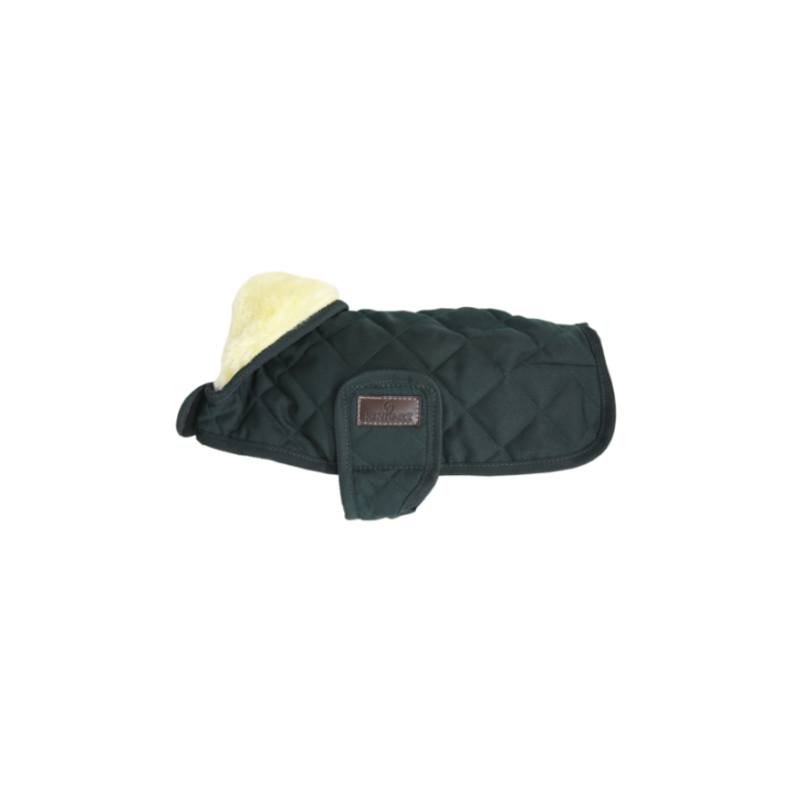 Manteau pour chien original kentucky