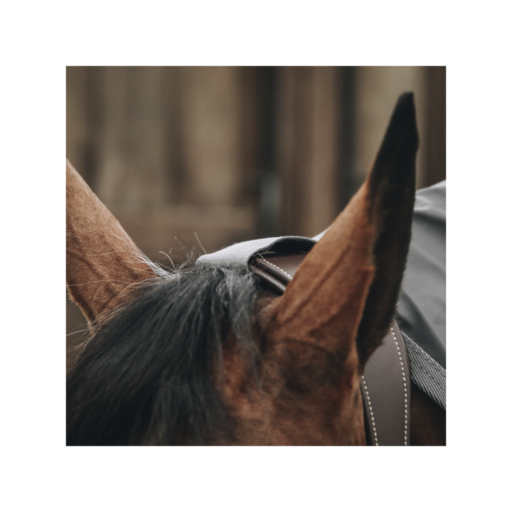 Manteau impermeable pour chevaux hurricane