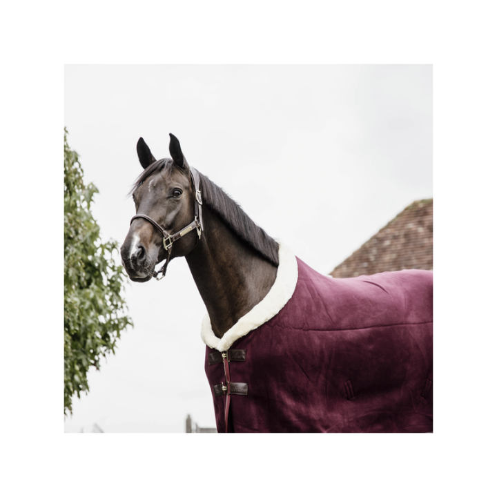 Chemise sechante show fleece heavy