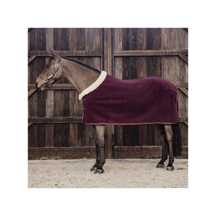 Chemise sechante show fleece heavy