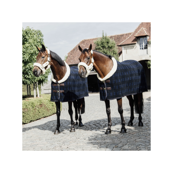 Chemise sechante show fleece heavy