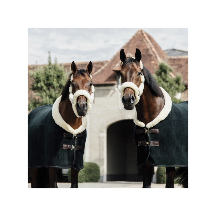 Chemise sechante show fleece heavy