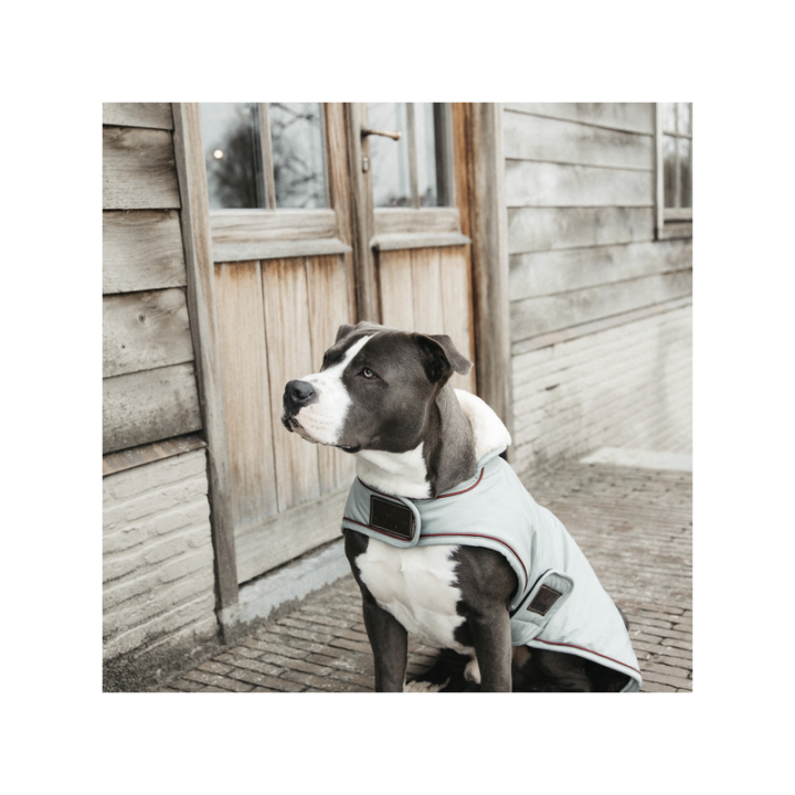 Manteau chien impermeable 160g