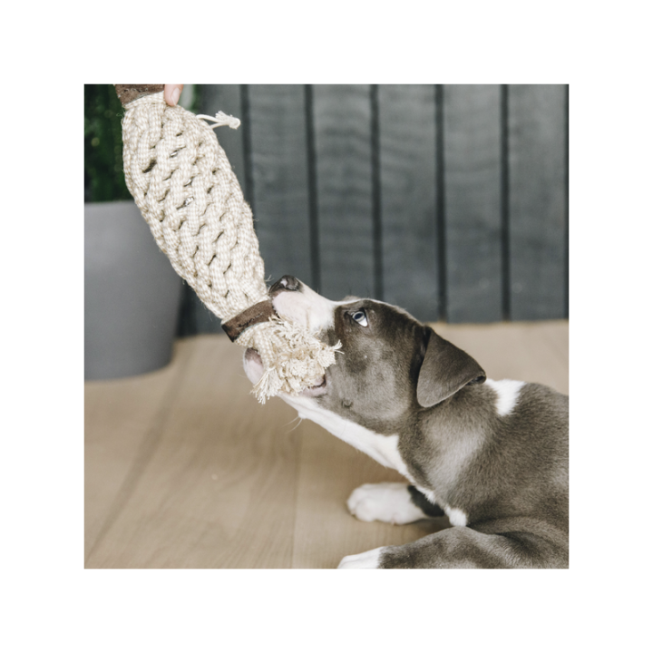 Jouet pour chien en corde et coton