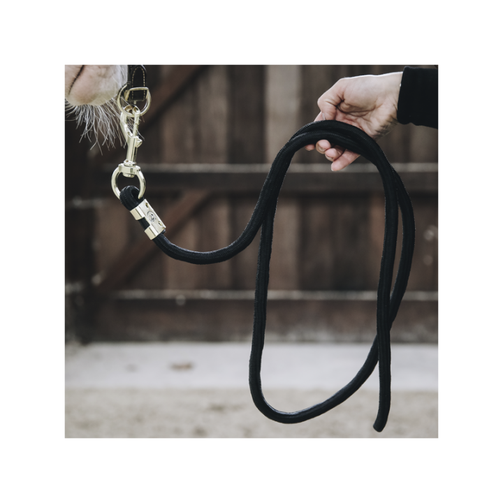 Longe kentucky basic 2m