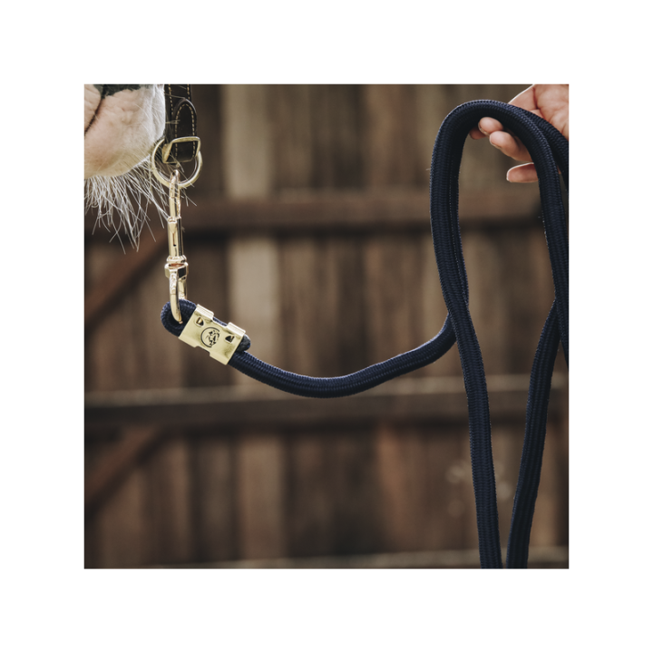 Longe kentucky basic 2m