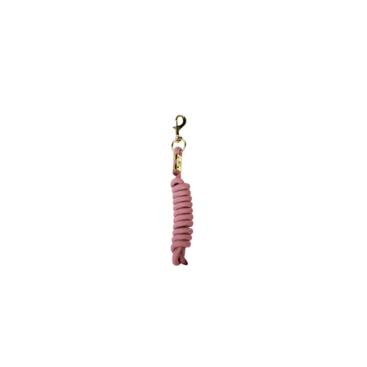 Longe kentucky basic 2m