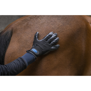 Gant de pansage anti mue noir