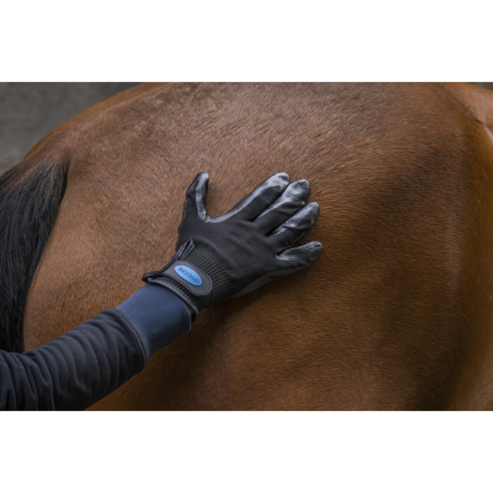 Gant de pansage anti mue noir