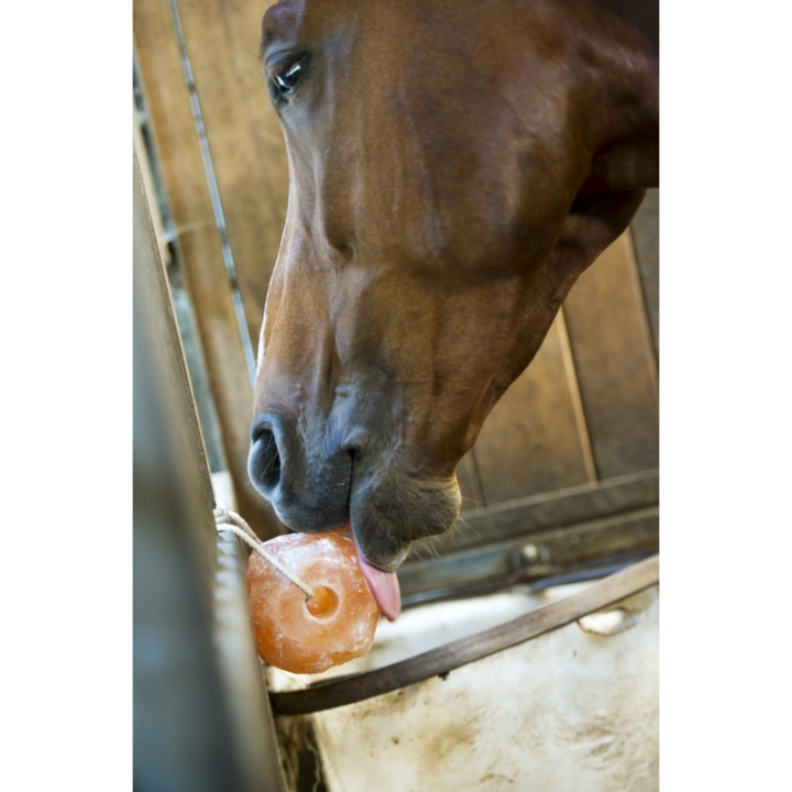 Pierre a sel de l'himalaya 1,5kg