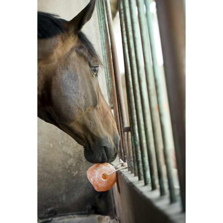 Pierre a sel de l'himalaya 1,5kg