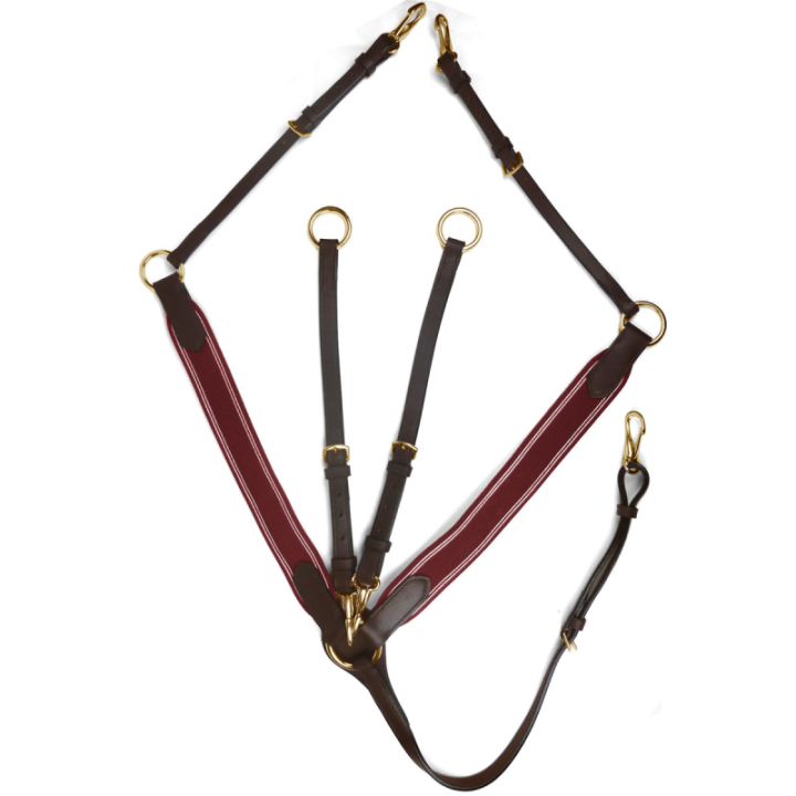 Collier de chasse elastique horse discount