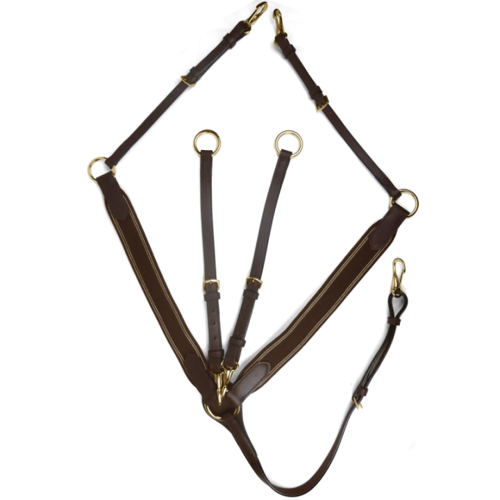 Collier de chasse elastique horse discount