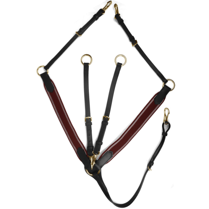 Collier de chasse elastique horse discount