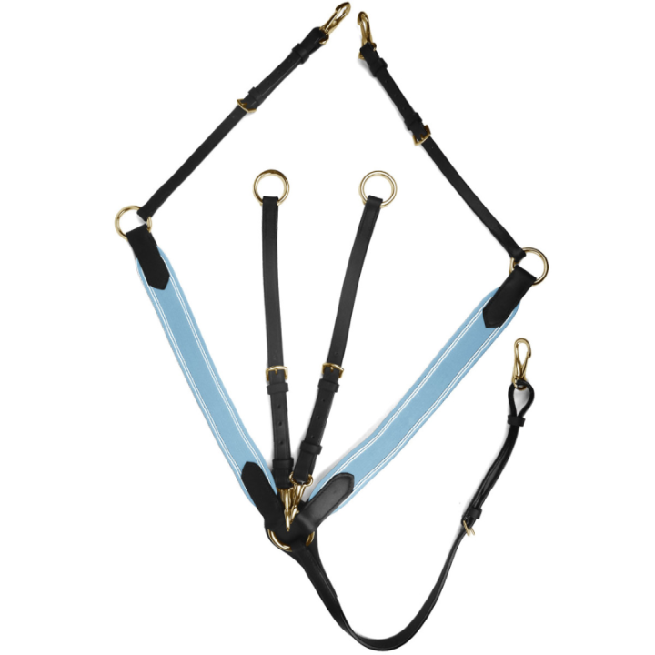 Collier de chasse elastique horse discount