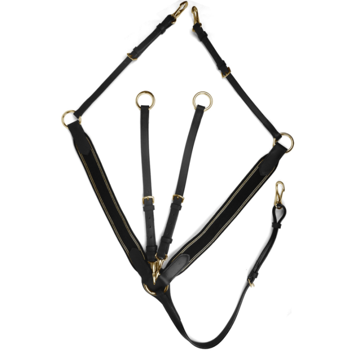 Collier de chasse elastique horse discount