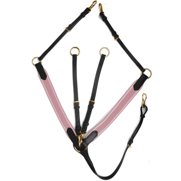 Collier de chasse elastique horse discount