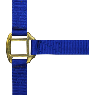 Lic.nort.nyl/cuir chev.bleuroi